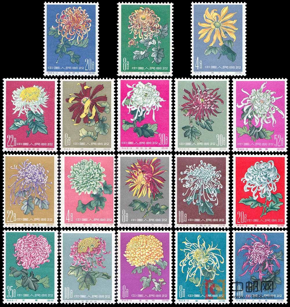 4037225660046162041.jpg